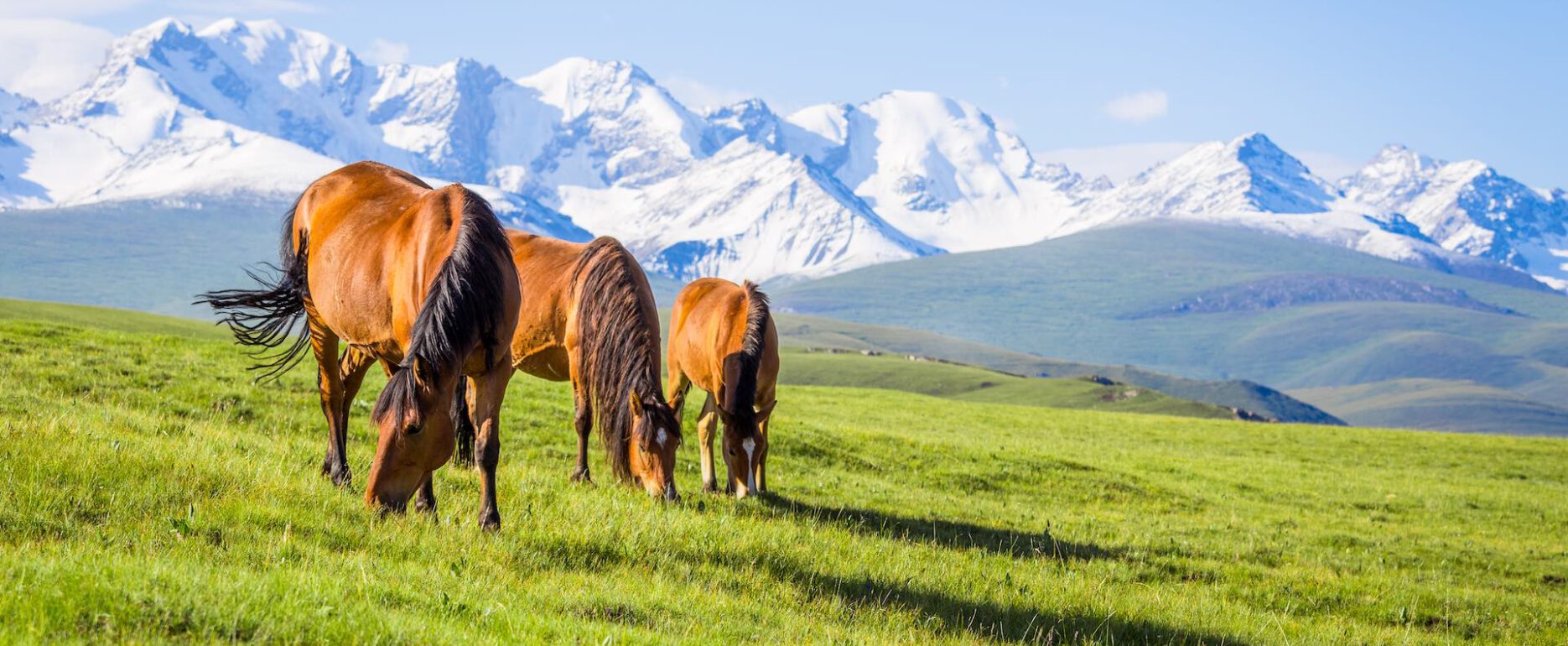 horseback-riding-poland